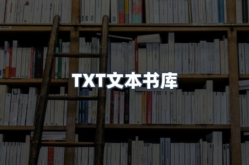 TXT文本书库